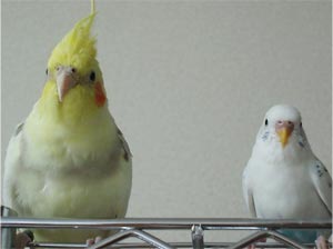 20090513.jpg