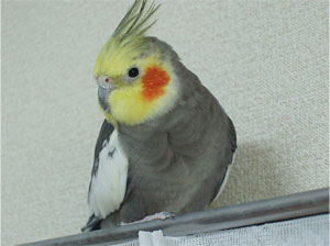 20090609_2.jpg